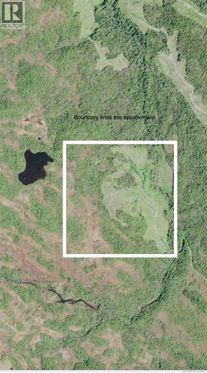 N/w 1/4 Shushartie Bay, Port Hardy, British Columbia  V0N 2P0 - Photo 18 - 1013943