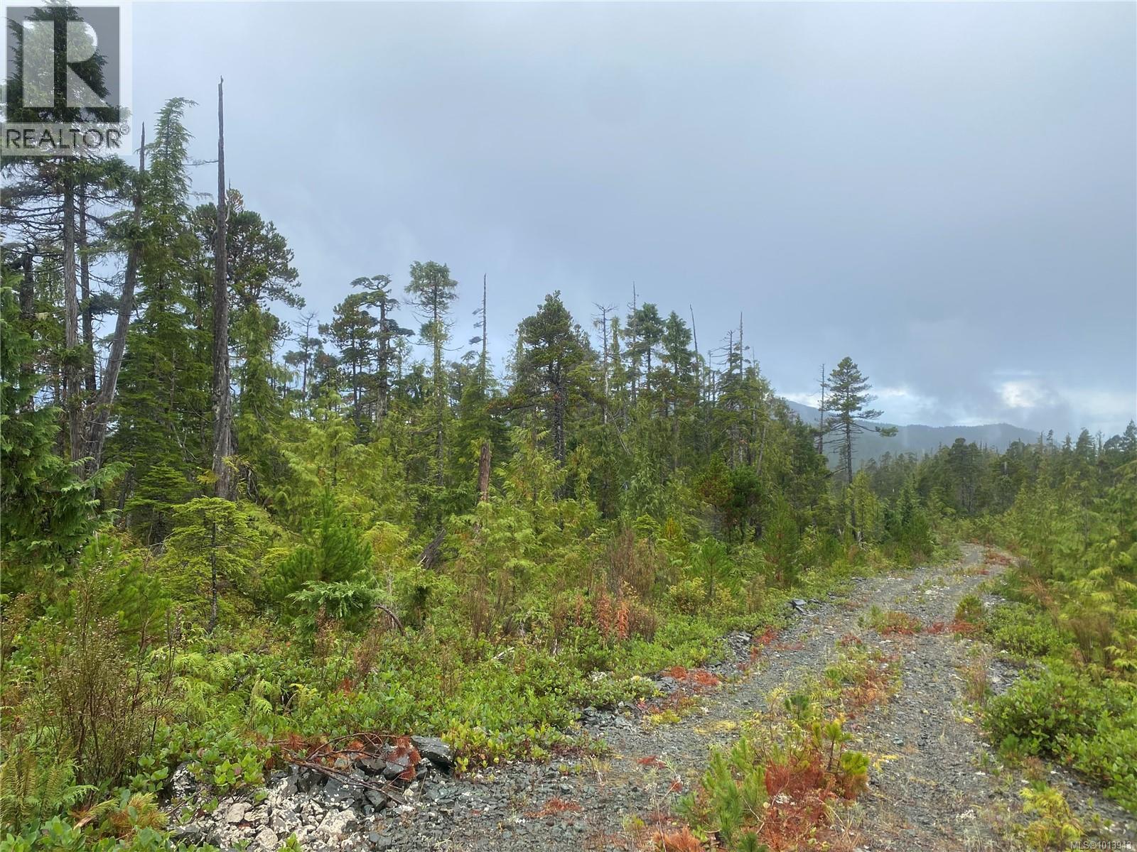N/w 1/4 Shushartie Bay, Port Hardy, British Columbia  V0N 2P0 - Photo 5 - 1013943
