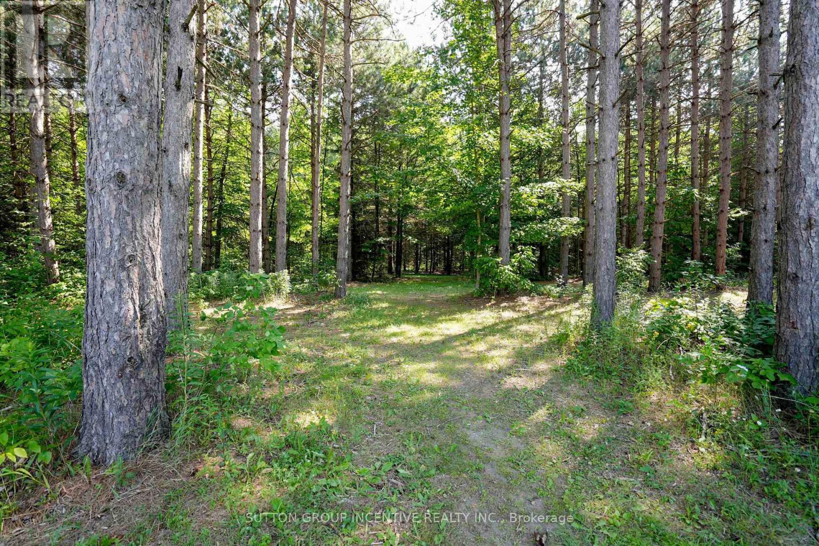 13895 County Rd 27 Road, Springwater, Ontario  L0L 2K0 - Photo 41 - S12409112