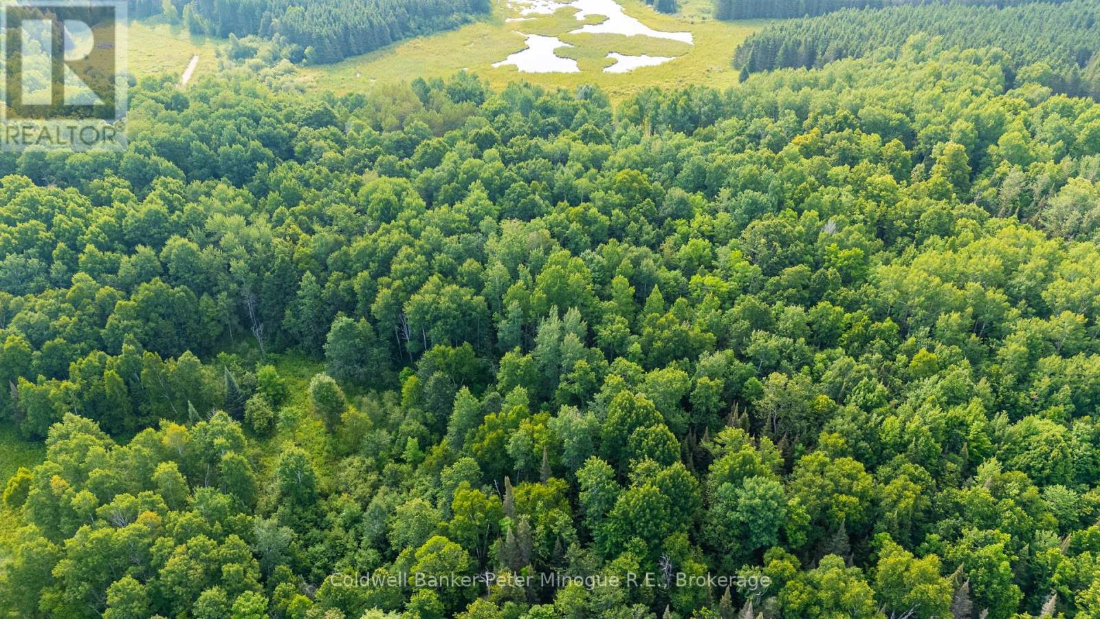 1757 South Shore Road, East Ferris, Ontario  P0H 1B0 - Photo 29 - X12391588