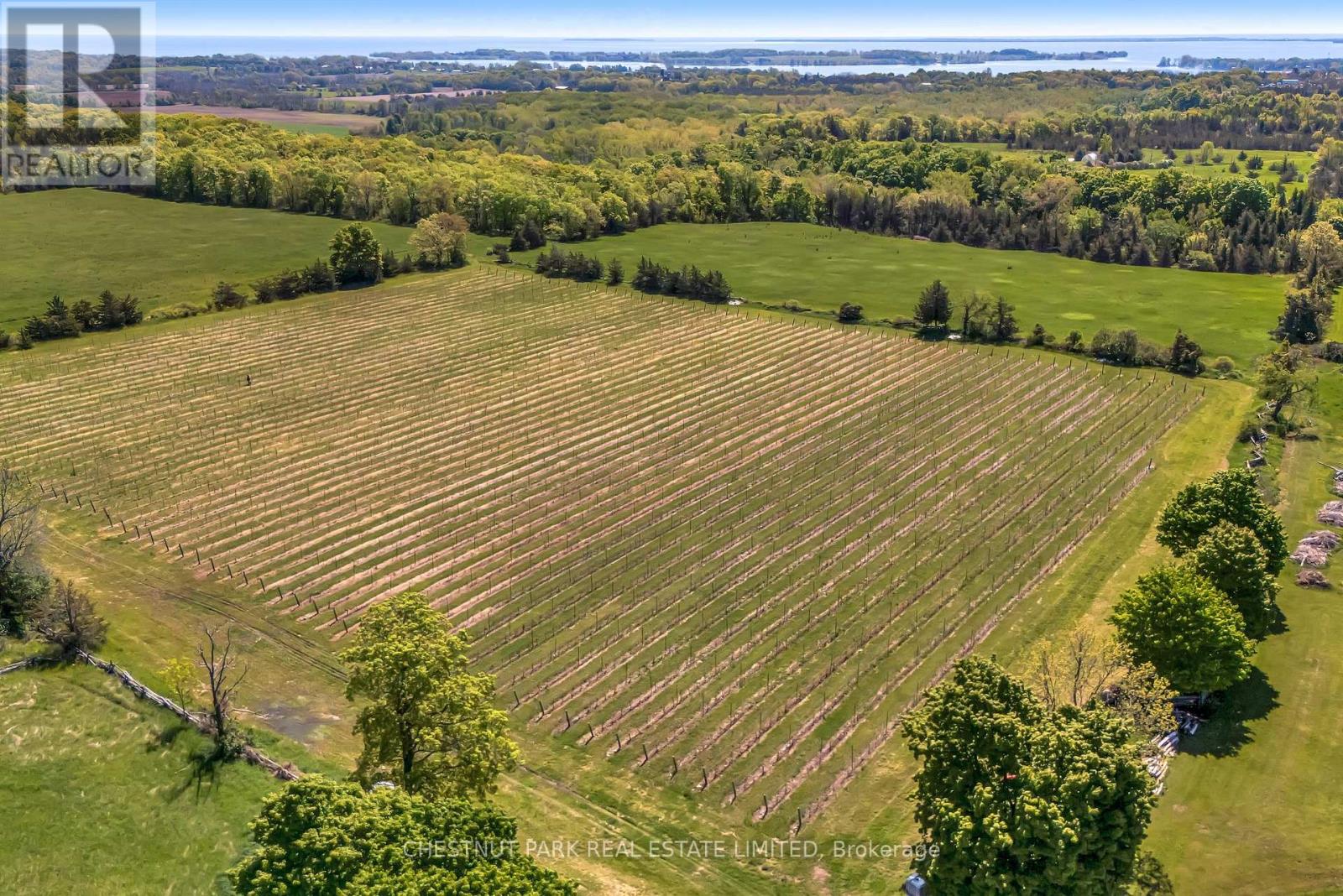 419 County Rd 25, Prince Edward County, Ontario  K0K 2T0 - Photo 4 - X12189479