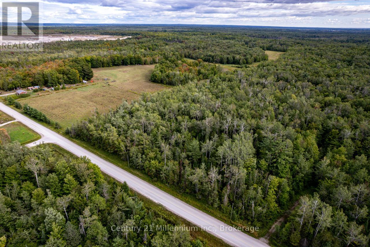 6989 Con B/c Road, Ramara, Ontario  L3V 0K7 - Photo 11 - S12409341
