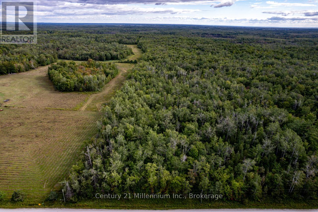 6989 Con B/c Road, Ramara, Ontario  L3V 0K7 - Photo 12 - S12409341