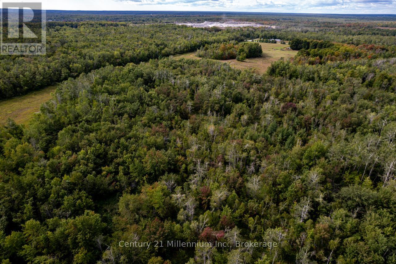 6989 Con B/c Road, Ramara, Ontario  L3V 0K7 - Photo 18 - S12409341
