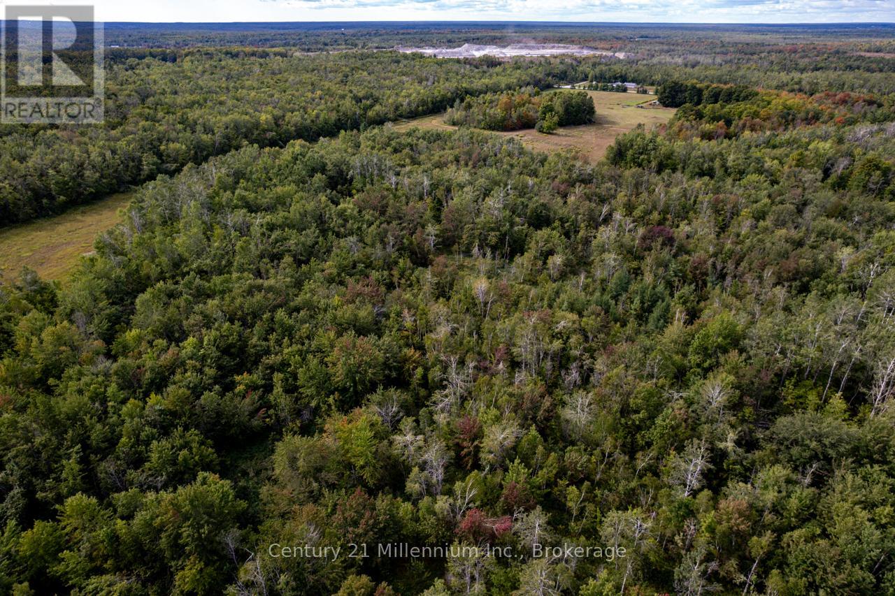 6989 Con B/c Road, Ramara, Ontario  L3V 0K7 - Photo 19 - S12409341