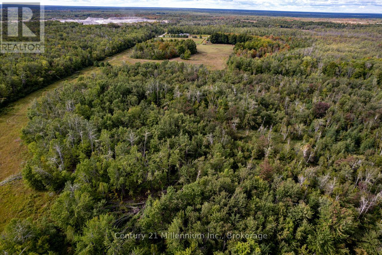 6989 Con B/c Road, Ramara, Ontario  L3V 0K7 - Photo 20 - S12409341