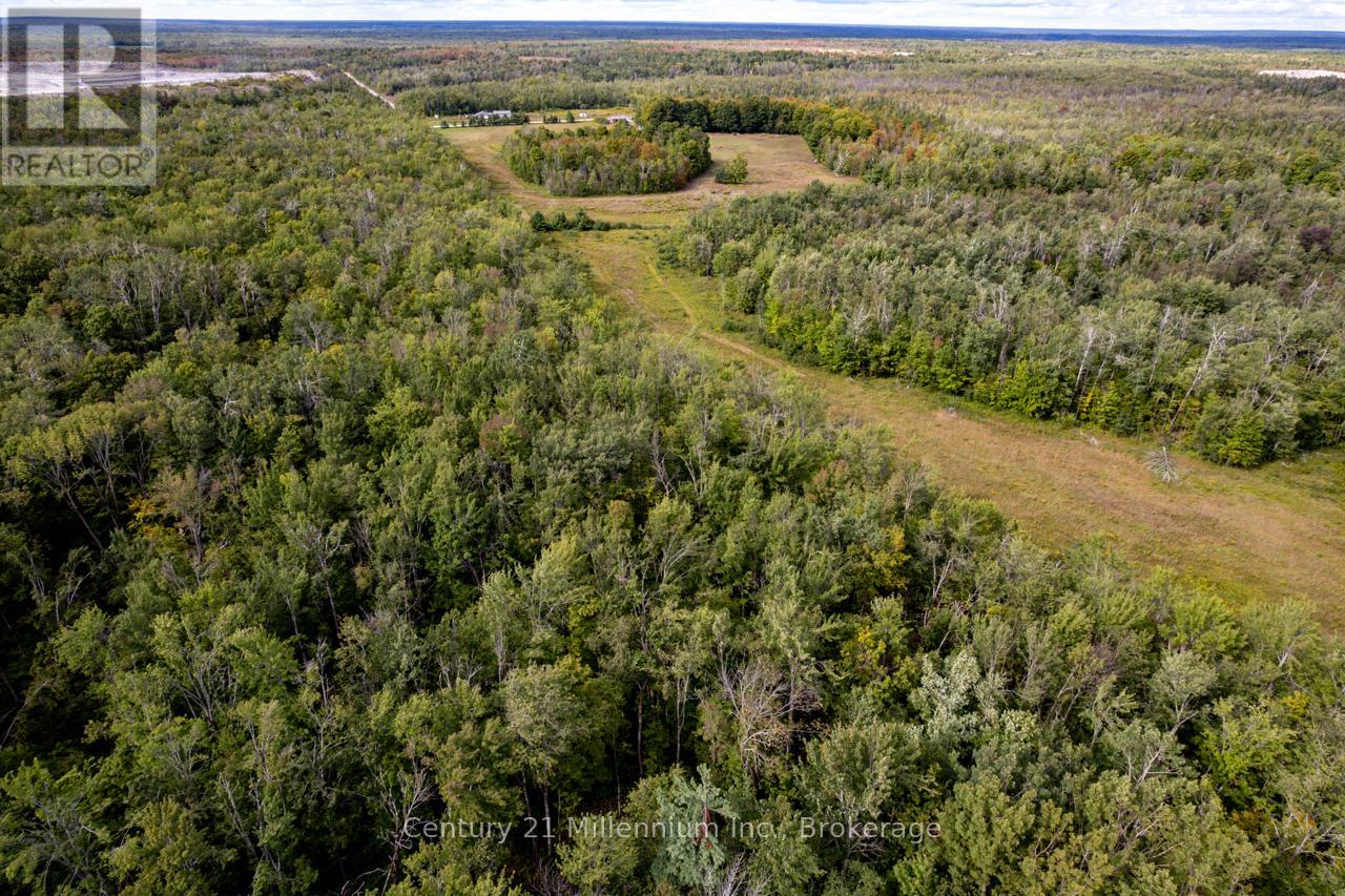 6989 Con B/c Road, Ramara, Ontario  L3V 0K7 - Photo 22 - S12409341