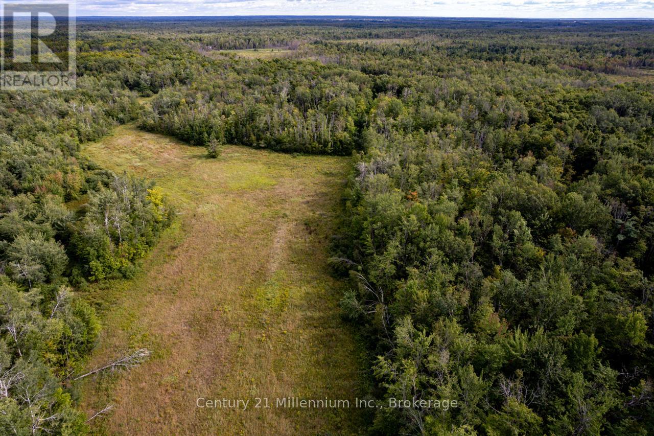 6989 Con B/c Road, Ramara, Ontario  L3V 0K7 - Photo 24 - S12409341