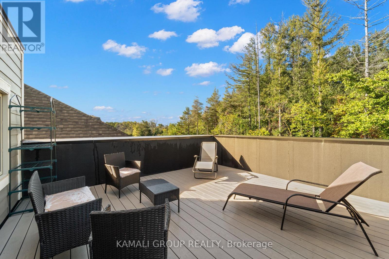 121 Milky Way Drive, Richmond Hill, Ontario  L4C 4L9 - Photo 40 - N12409217