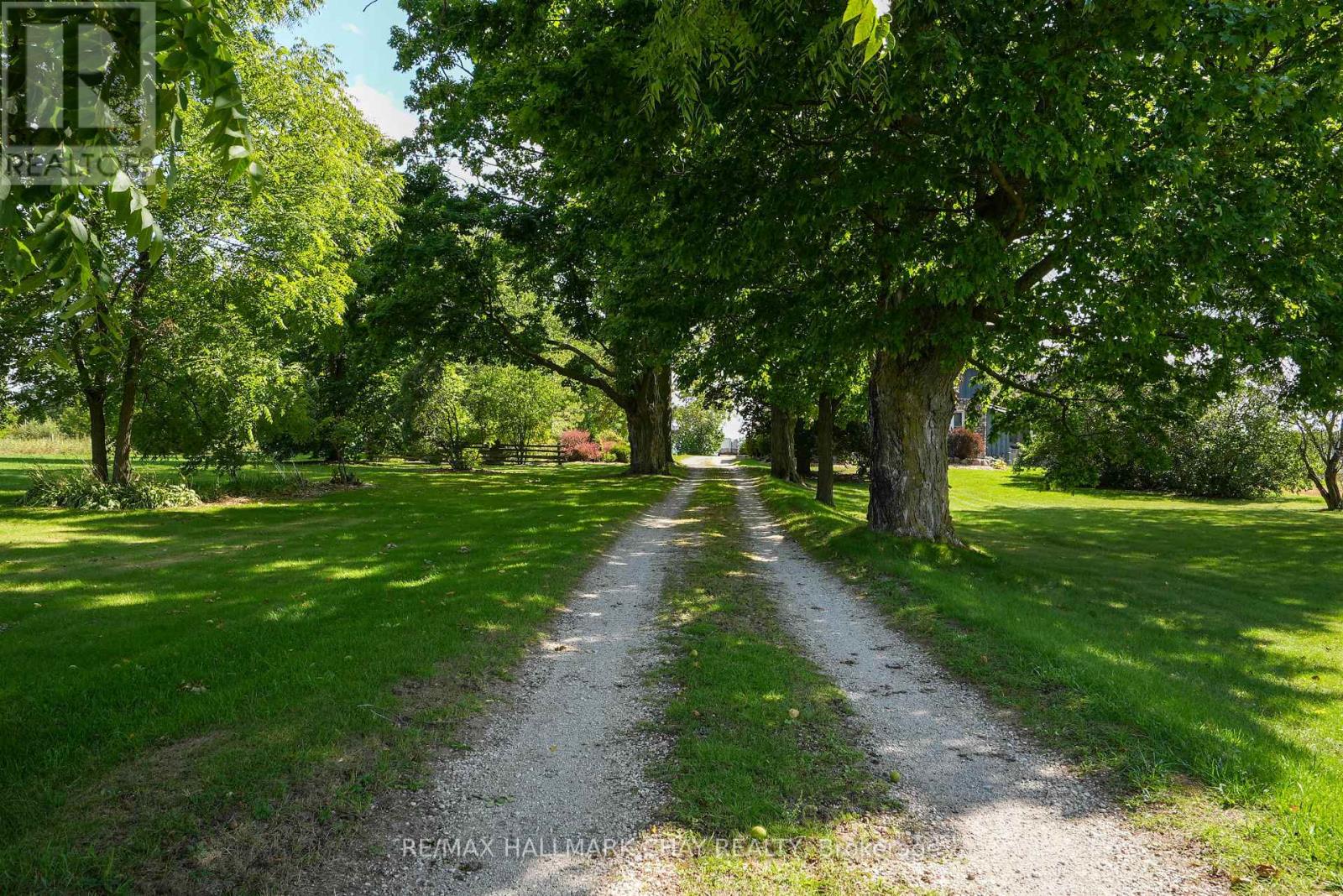 2473 Ronald Road, Springwater, Ontario  L0L 1Y0 - Photo 5 - S12409177