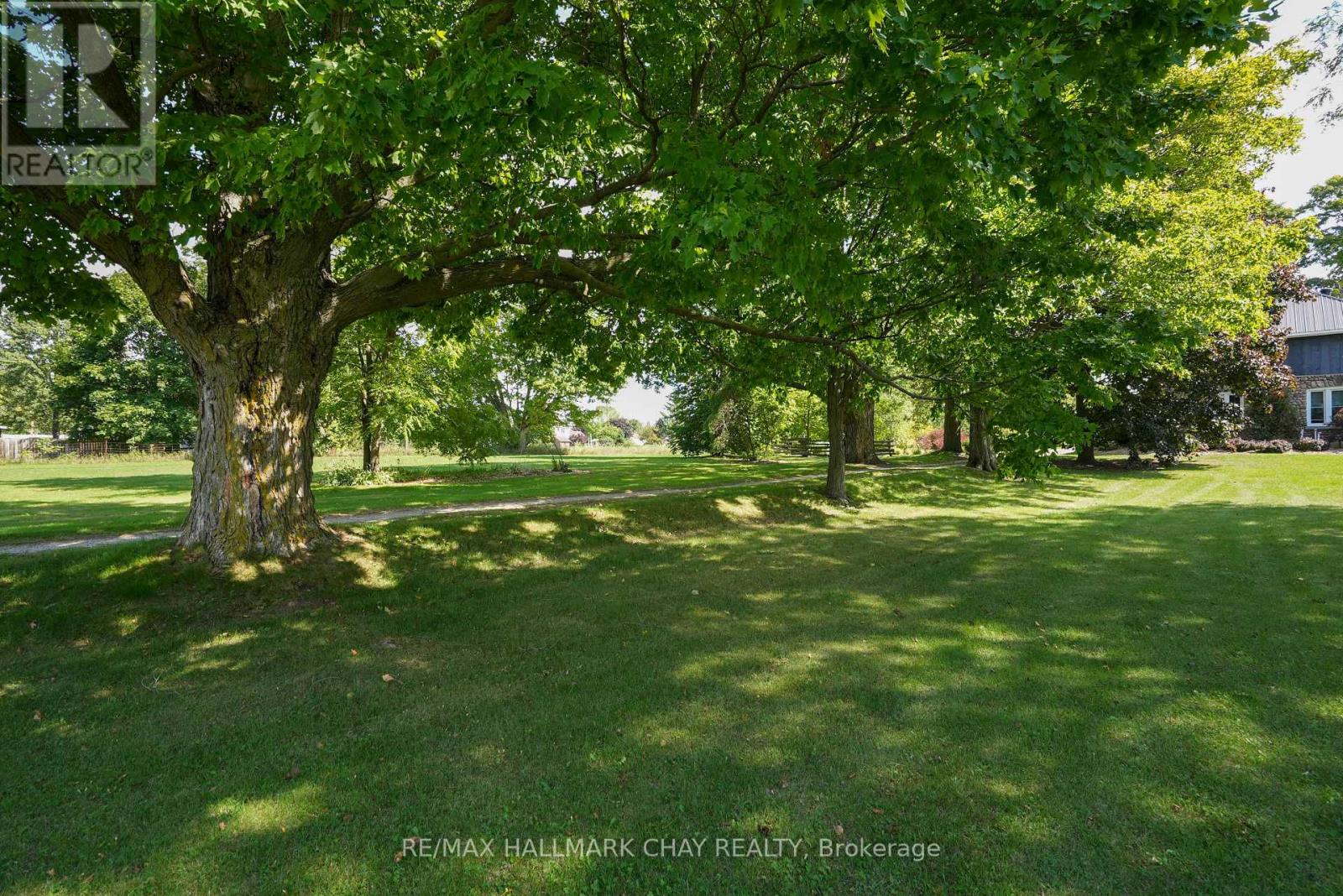 2473 Ronald Road, Springwater, Ontario  L0L 1Y0 - Photo 6 - S12409177