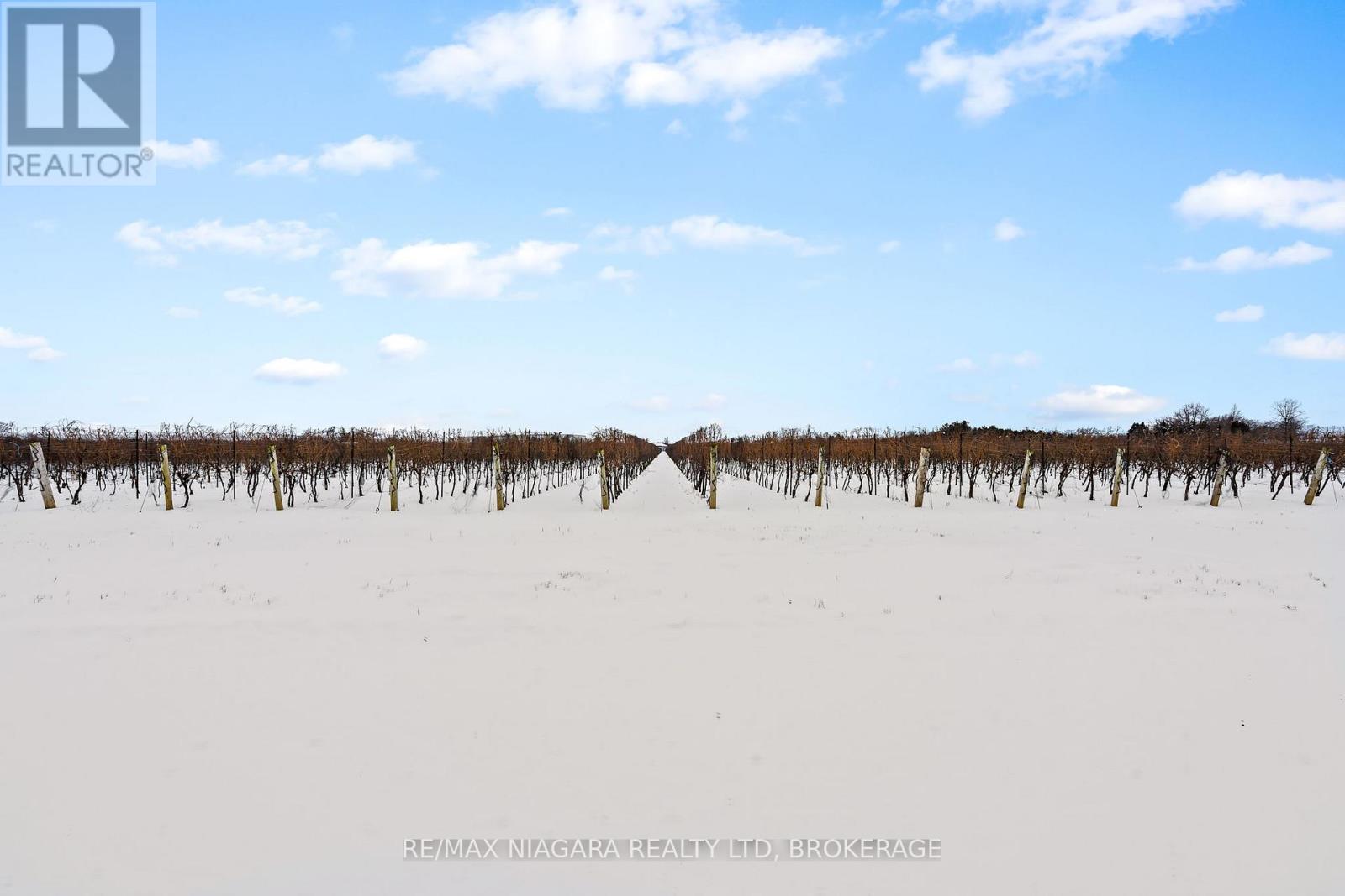 1074 Niagara Stone Road, Niagara-On-The-Lake, Ontario  L0S 1J0 - Photo 10 - X11949919