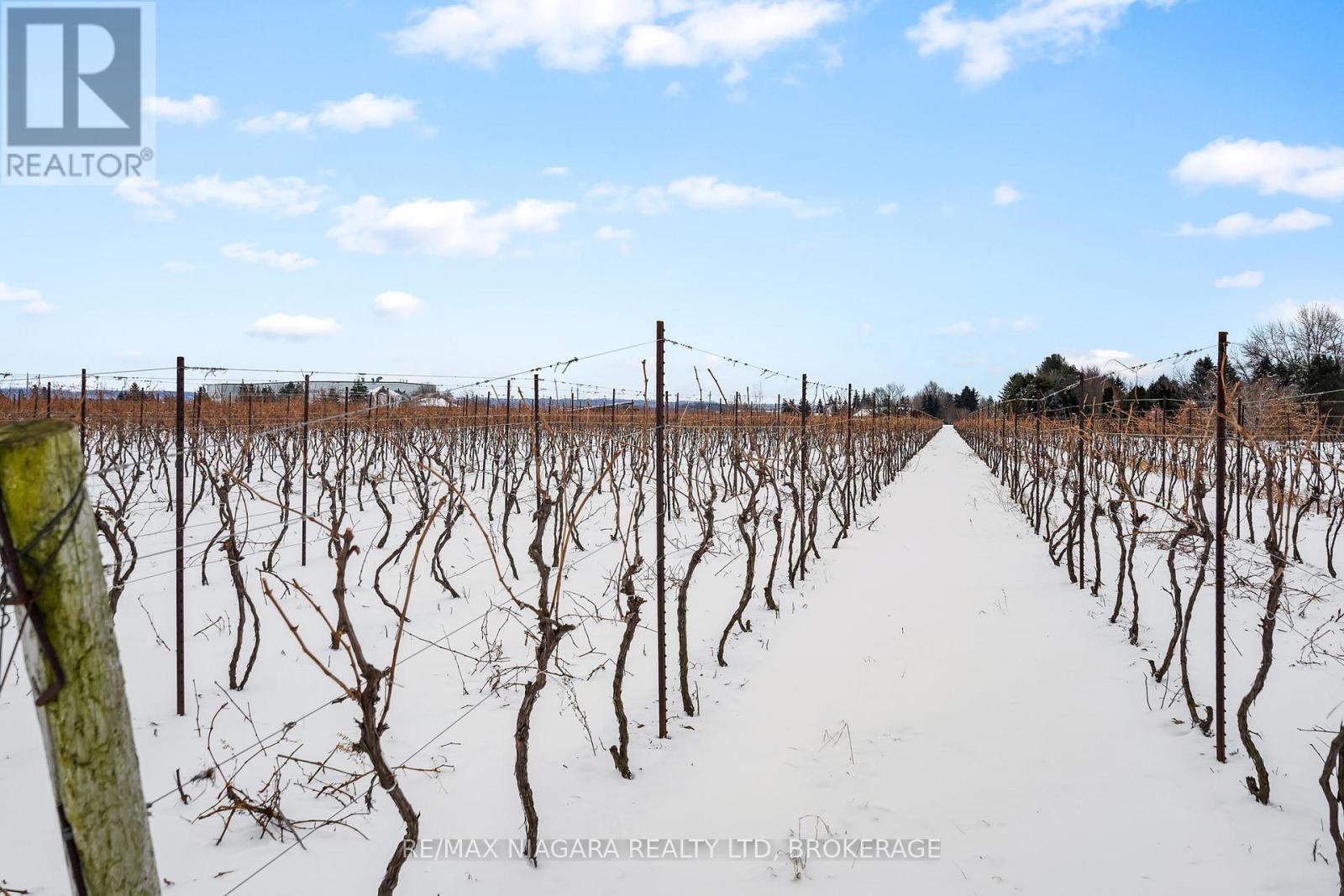 1074 Niagara Stone Road, Niagara-On-The-Lake, Ontario  L0S 1J0 - Photo 14 - X11949919