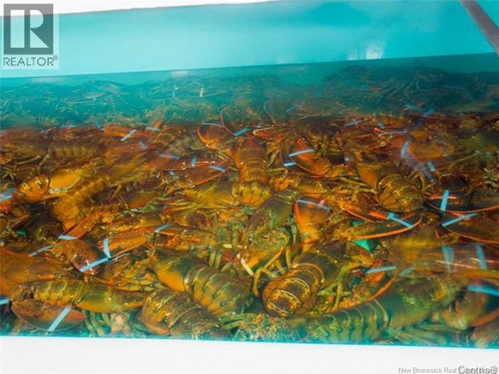 359 Victoria Street, Edmundston, New Brunswick  E3V 2K1 - Photo 6 - NB126923