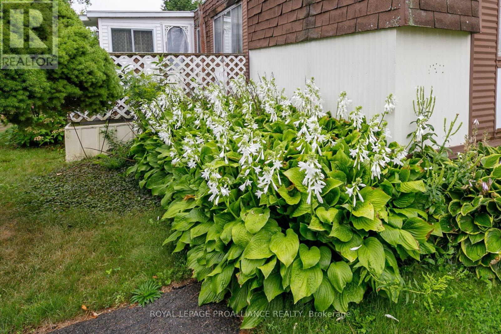 15 Thrush Lane, Quinte West, Ontario  K8N 4Z3 - Photo 15 - X12409551