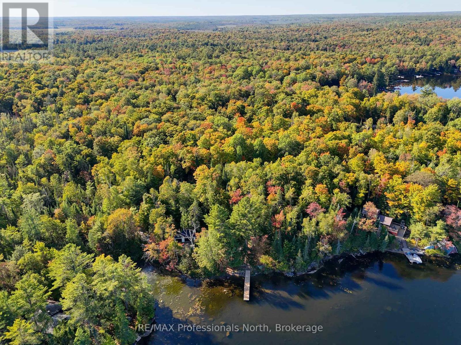 1046 Pine Lake Shores Private, Bracebridge, Ontario  P0B 1A0 - Photo 15 - X12409477