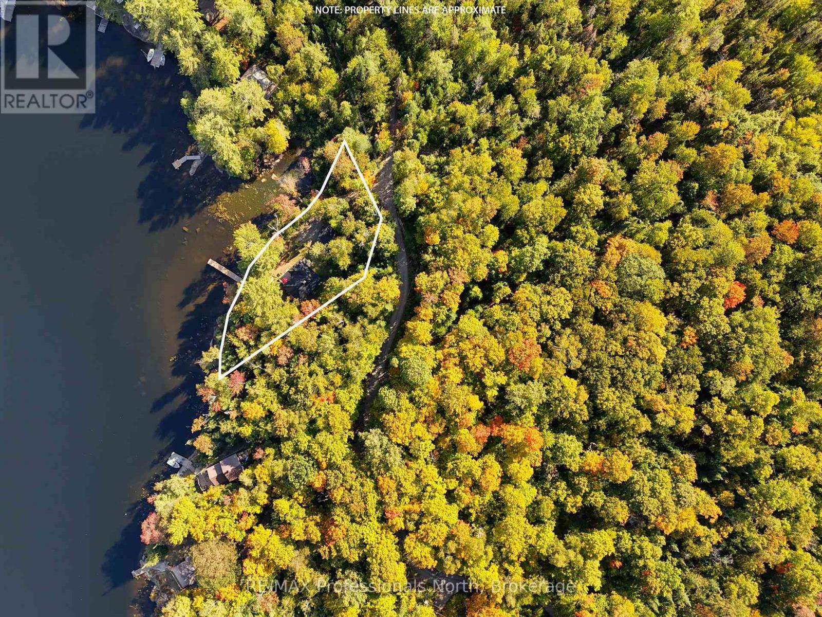 1046 Pine Lake Shores Private, Bracebridge, Ontario  P0B 1A0 - Photo 16 - X12409477
