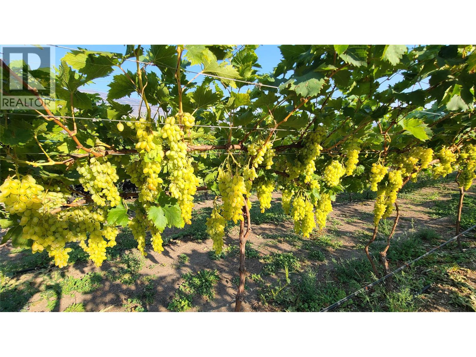 7298 HWY 97 Highway Oliver Photo 9 7298 HWY 97 Highway Oliver Photo 9