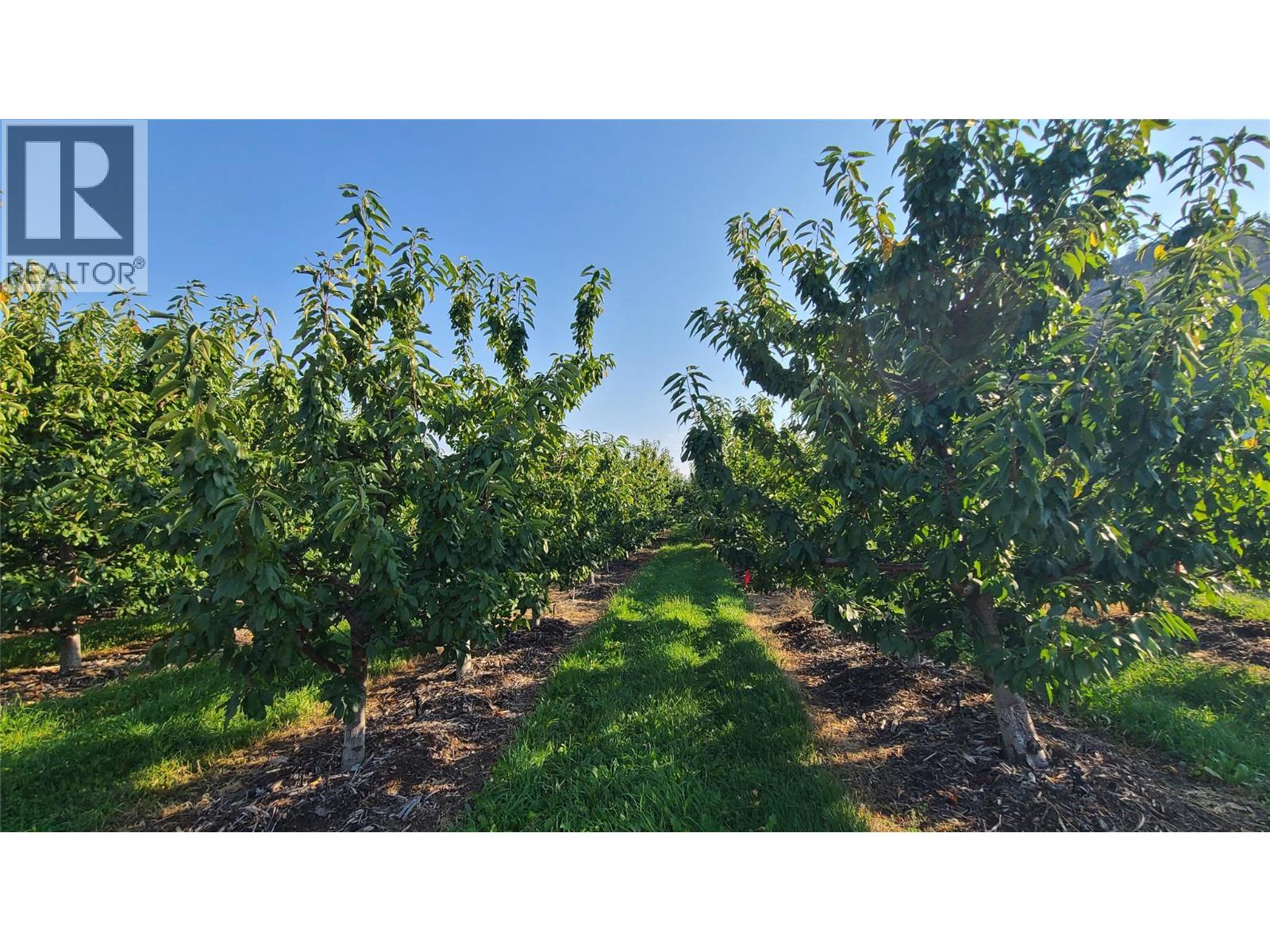 7298 HWY 97 Highway Oliver Photo 11 7298 HWY 97 Highway Oliver Photo 11