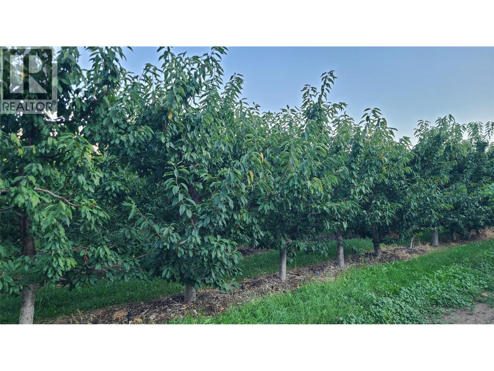 7298 HWY 97 Highway Oliver Photo 18 7298 HWY 97 Highway Oliver Photo 18