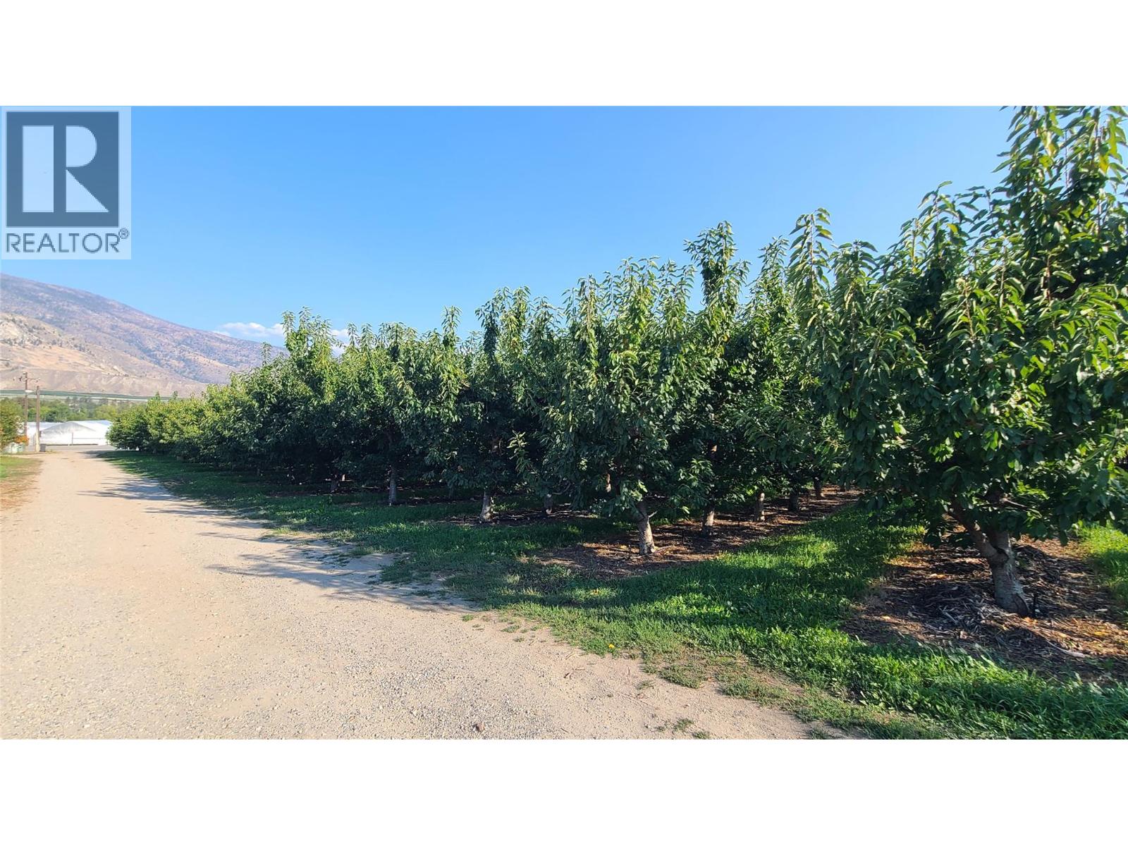 7298 HWY 97 Highway Oliver Photo 14 7298 HWY 97 Highway Oliver Photo 14