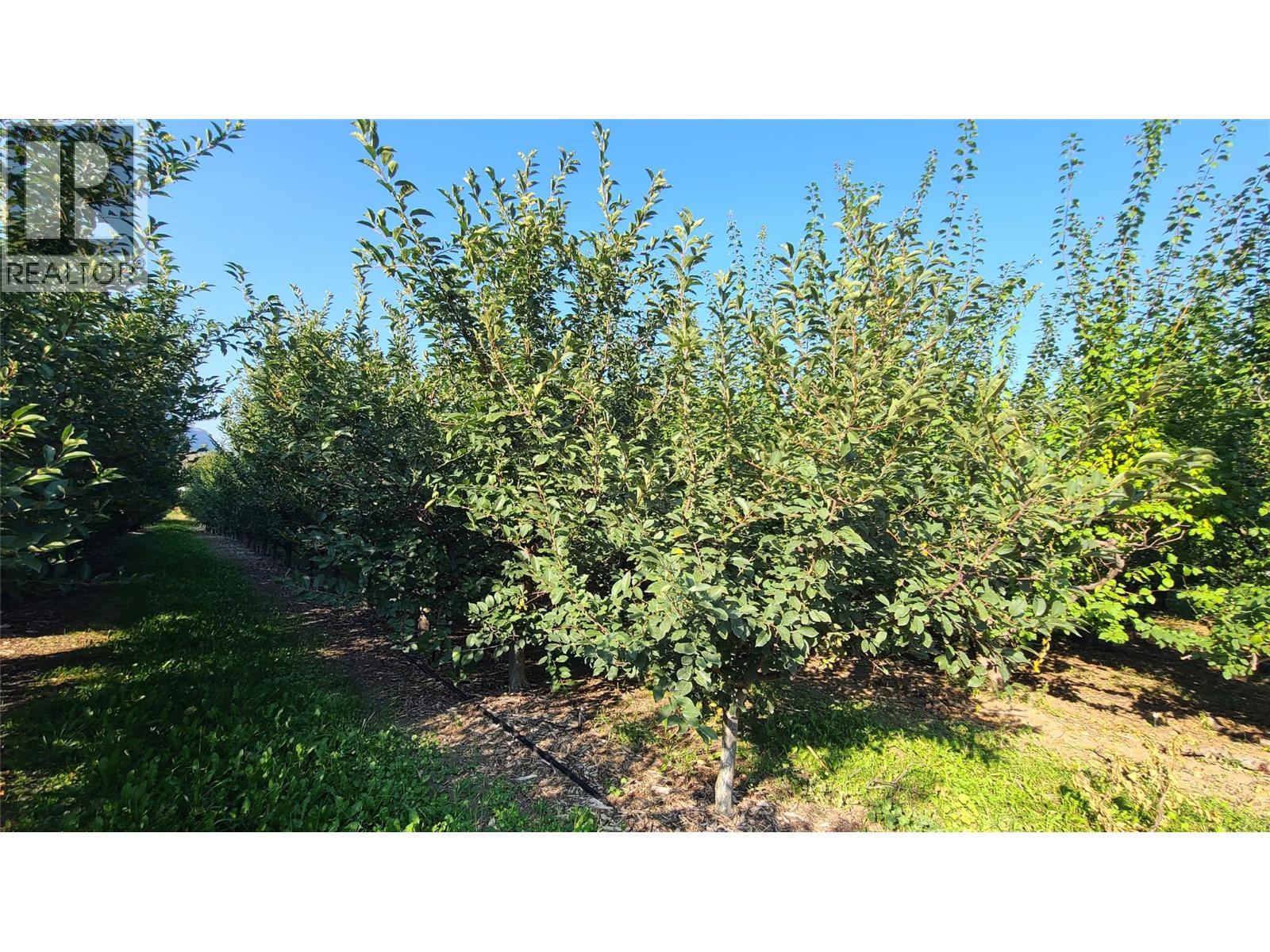 7298 HWY 97 Highway Oliver Photo 16 7298 HWY 97 Highway Oliver Photo 16