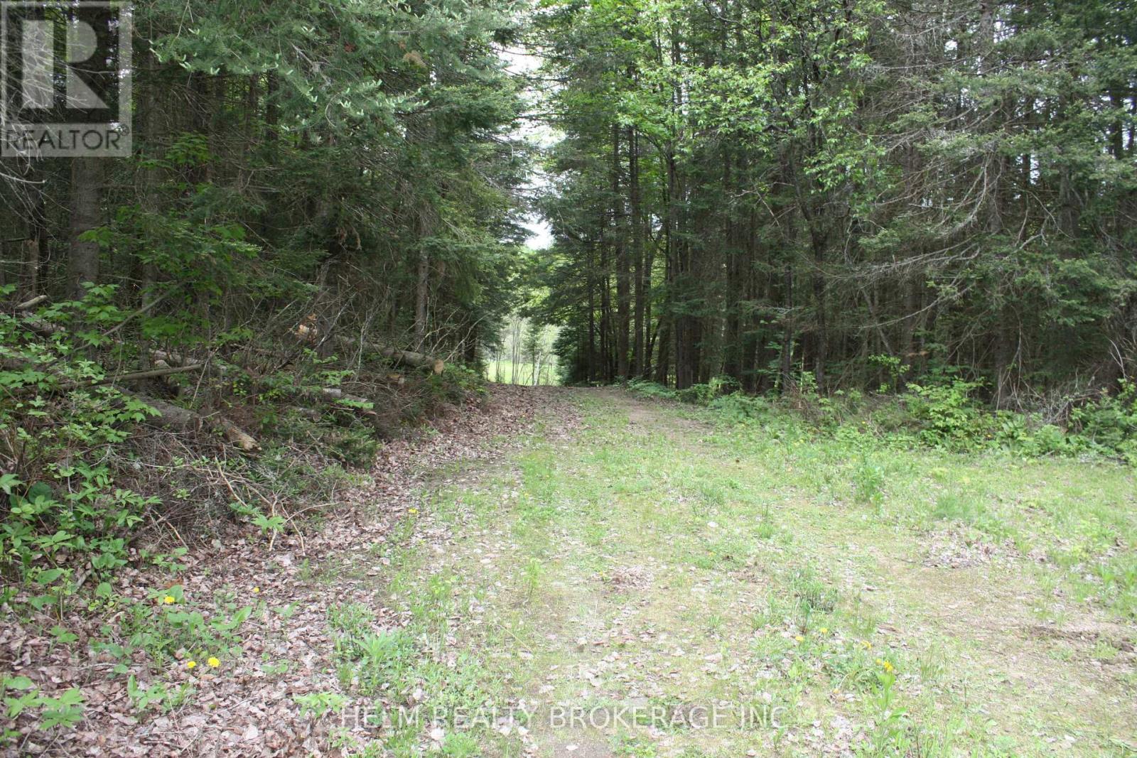 839 Grand Desert Road, Bonfield, Ontario  P0H 1E0 - Photo 10 - X12180216