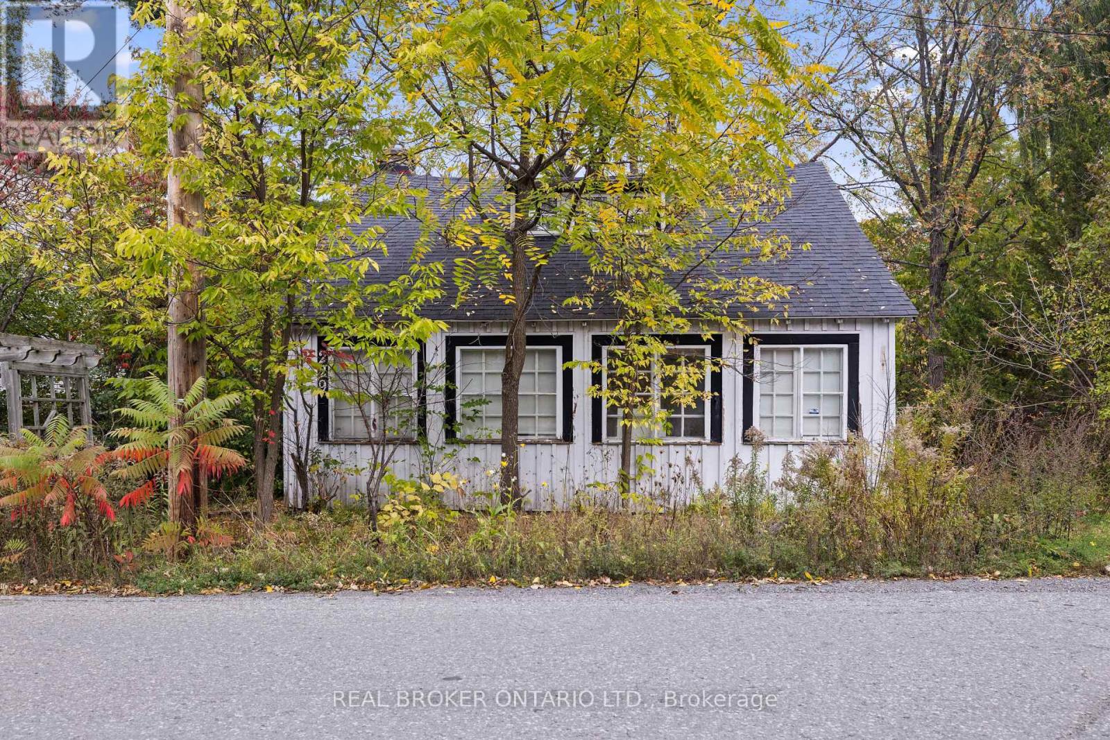 229 Britannia Road, Ottawa, Ontario  K2B 5X1 - Photo 4 - X12409692