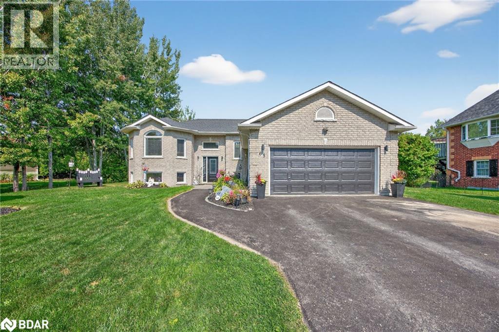 65 Broadview Street Street, Collingwood, Ontario  L9Y 0X2 - Photo 3 - 40770228