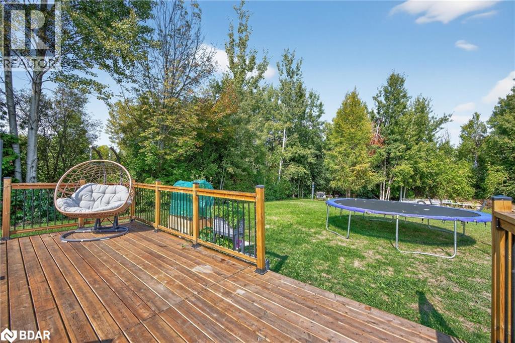 65 Broadview Street Street, Collingwood, Ontario  L9Y 0X2 - Photo 38 - 40770228