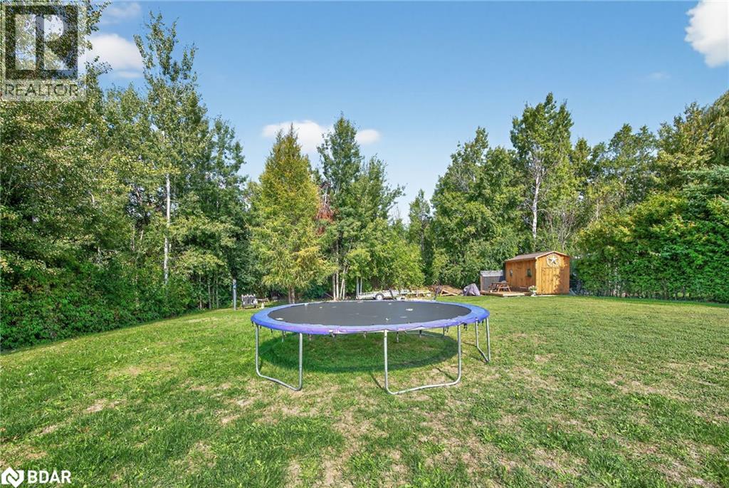 65 Broadview Street Street, Collingwood, Ontario  L9Y 0X2 - Photo 39 - 40770228