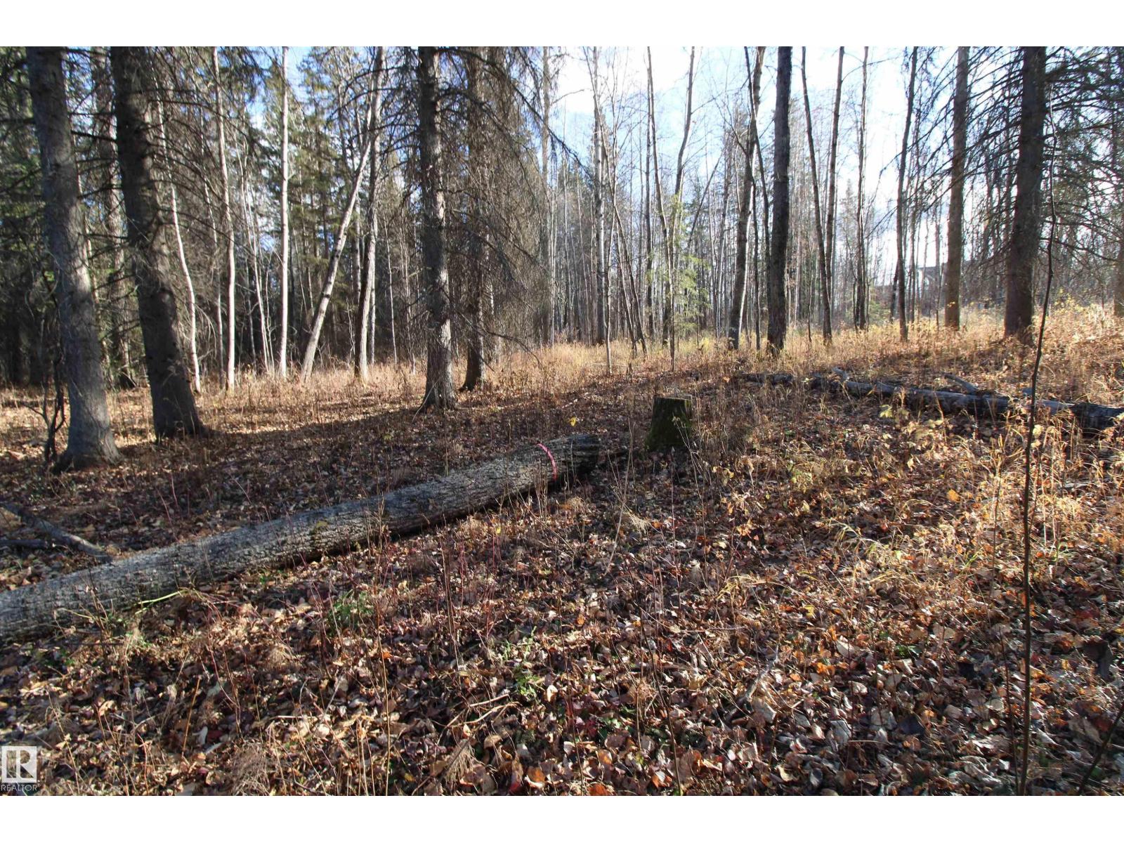 #205 55530 Rge Road 52, Rural Lac Ste. Anne County, Alberta  T0E 0J0 - Photo 17 - E4427589