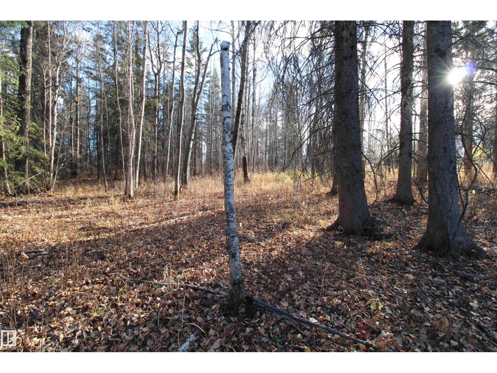 #205 55530 Rge Road 52, Rural Lac Ste. Anne County, Alberta  T0E 0J0 - Photo 13 - E4427589