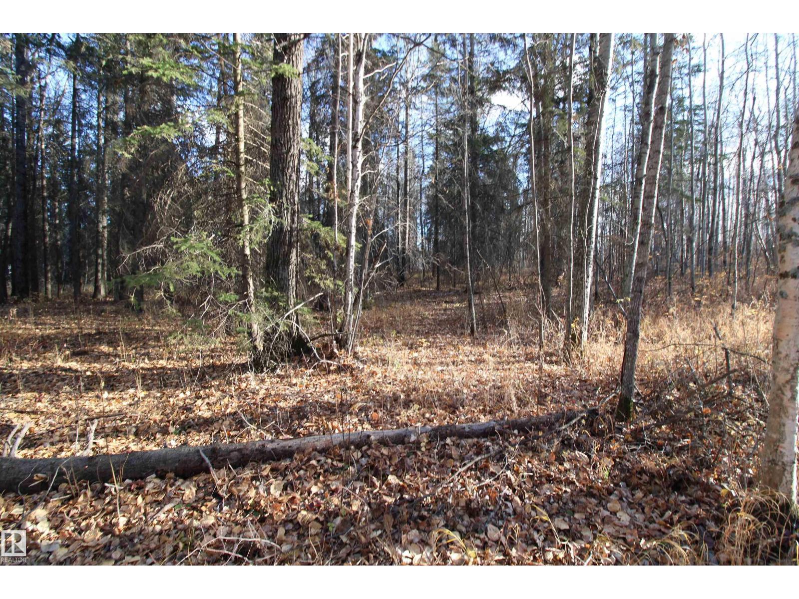 #205 55530 Rge Road 52, Rural Lac Ste. Anne County, Alberta  T0E 0J0 - Photo 15 - E4427589