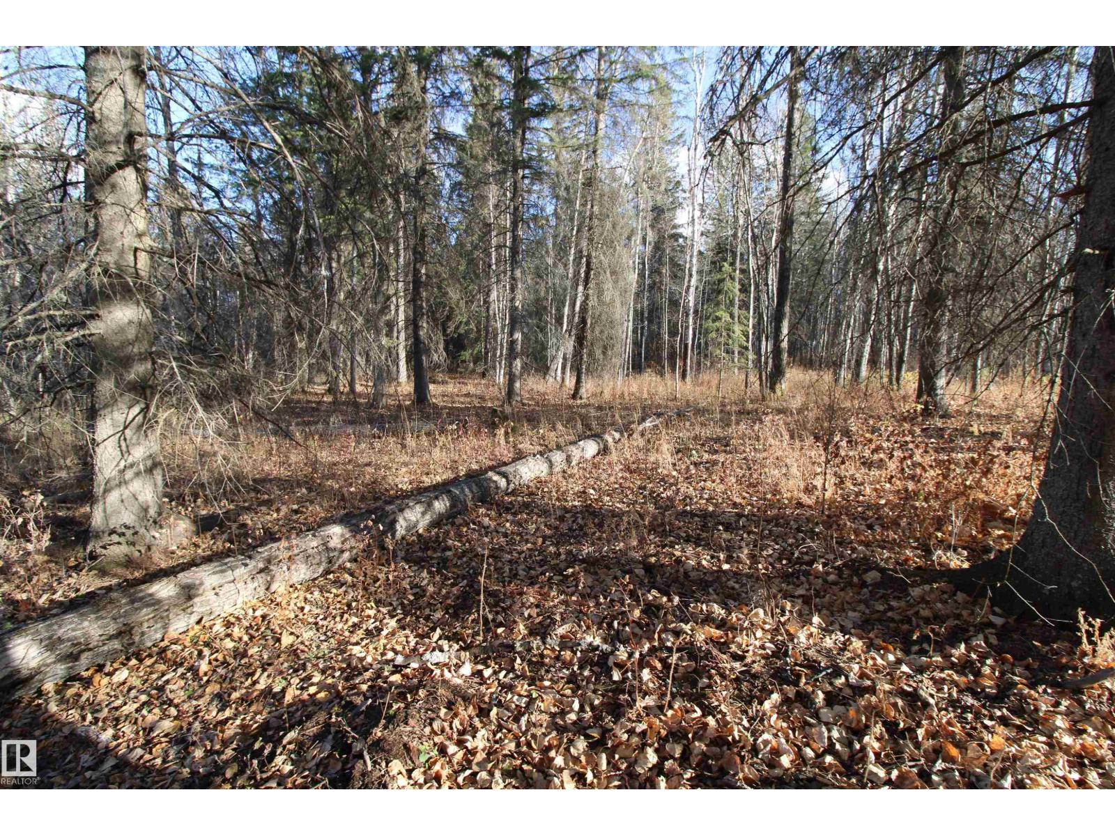 #205 55530 Rge Road 52, Rural Lac Ste. Anne County, Alberta  T0E 0J0 - Photo 4 - E4427589
