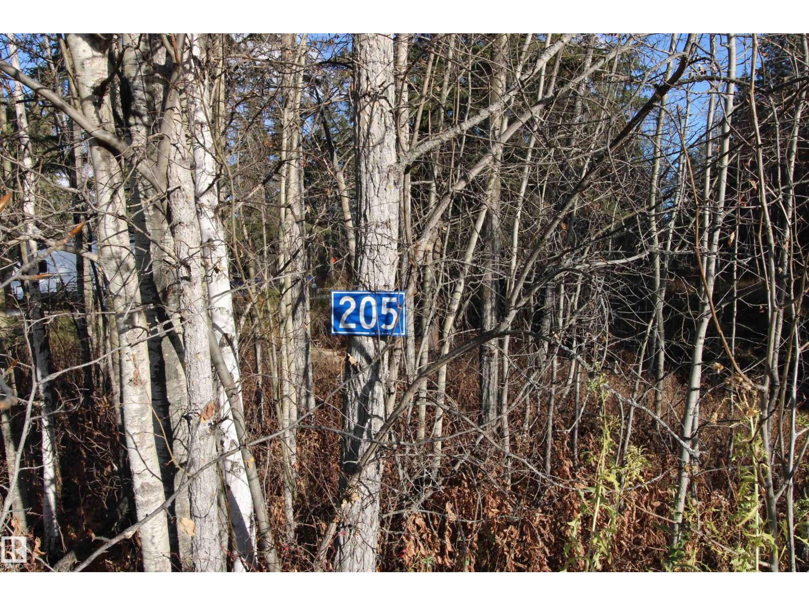 #205 55530 Rge Road 52, Rural Lac Ste. Anne County, Alberta  T0E 0J0 - Photo 9 - E4427589