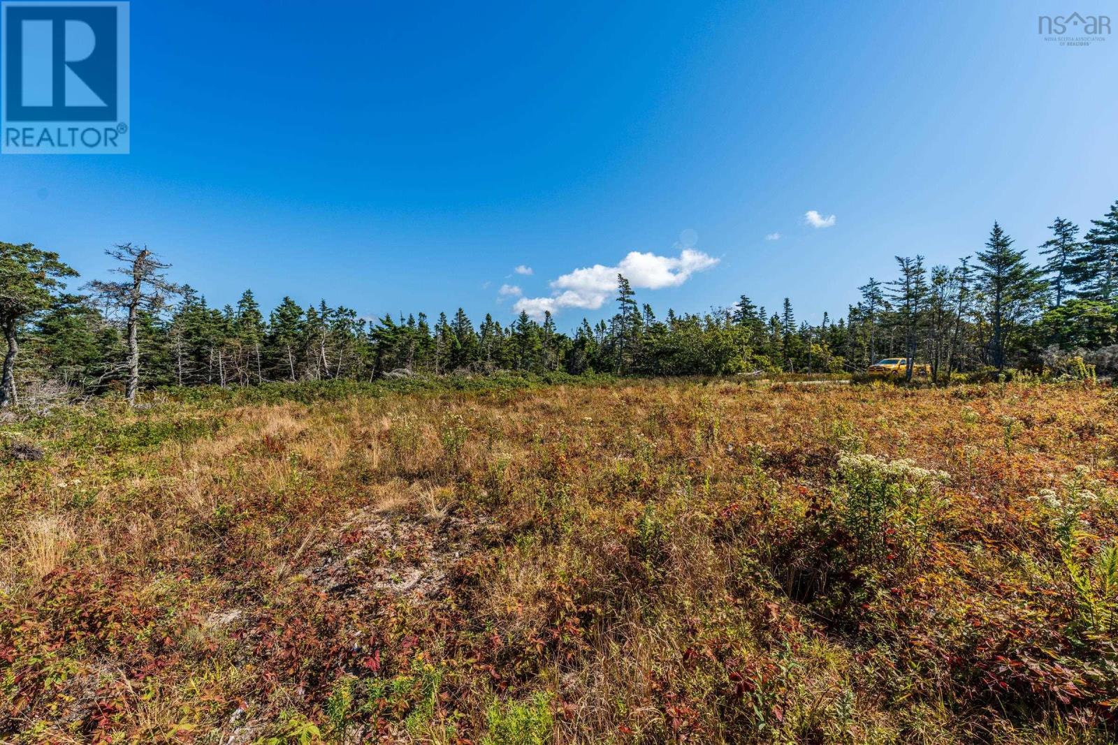 Lot Deveau Shore Road, St. Alphonse, Nova Scotia  B0W 2J0 - Photo 16 - 202523301