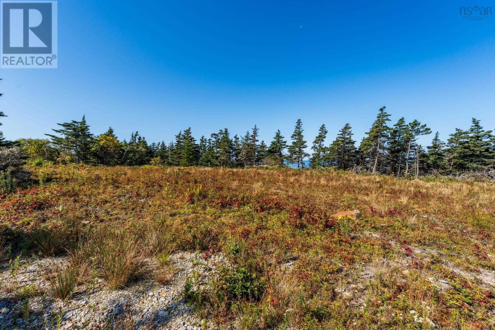 Lot Deveau Shore Road, St. Alphonse, Nova Scotia  B0W 2J0 - Photo 21 - 202523301