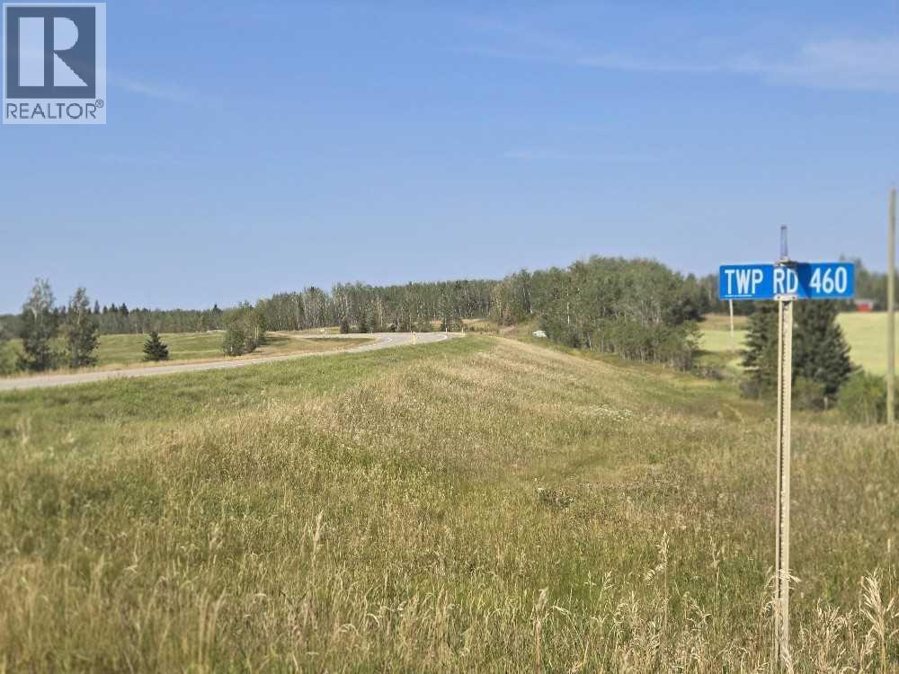 Hwy 20 Twp 460, Rural Wetaskiwin No. 10, Alberta  T0C 2X0 - Photo 6 - A2257908