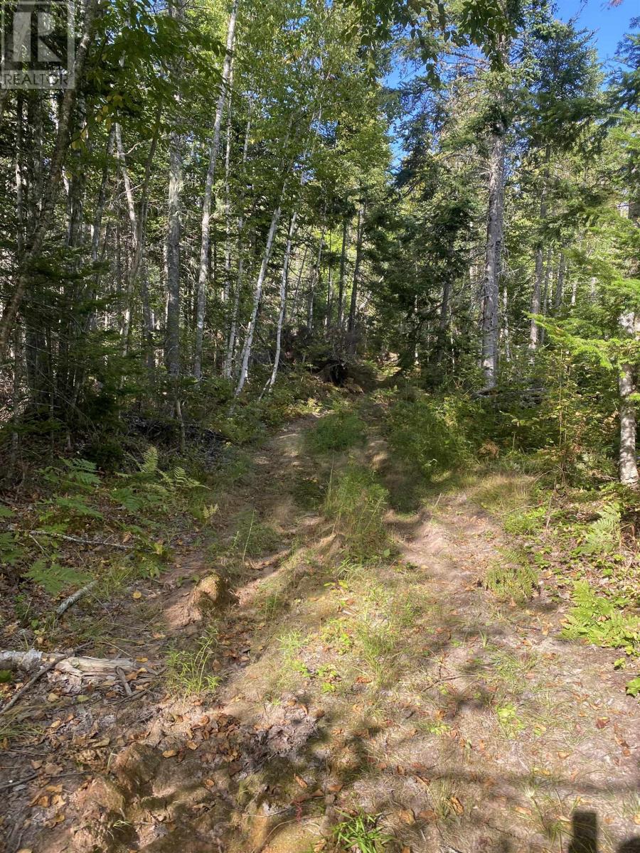 Acreage Greys Road - Hopefield 74 Acres, Murray River, Prince Edward Island  C0A 1W0 - Photo 2 - 202523583