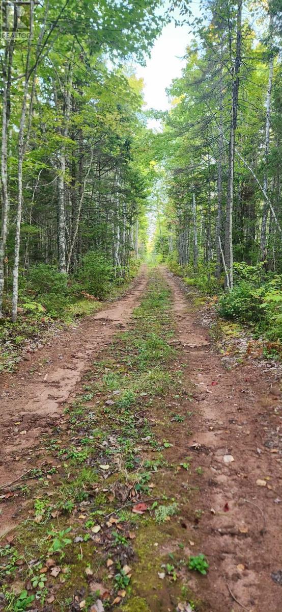 Acreage Greys Road - Hopefield 74 Acres, Murray River, Prince Edward Island  C0A 1W0 - Photo 3 - 202523583