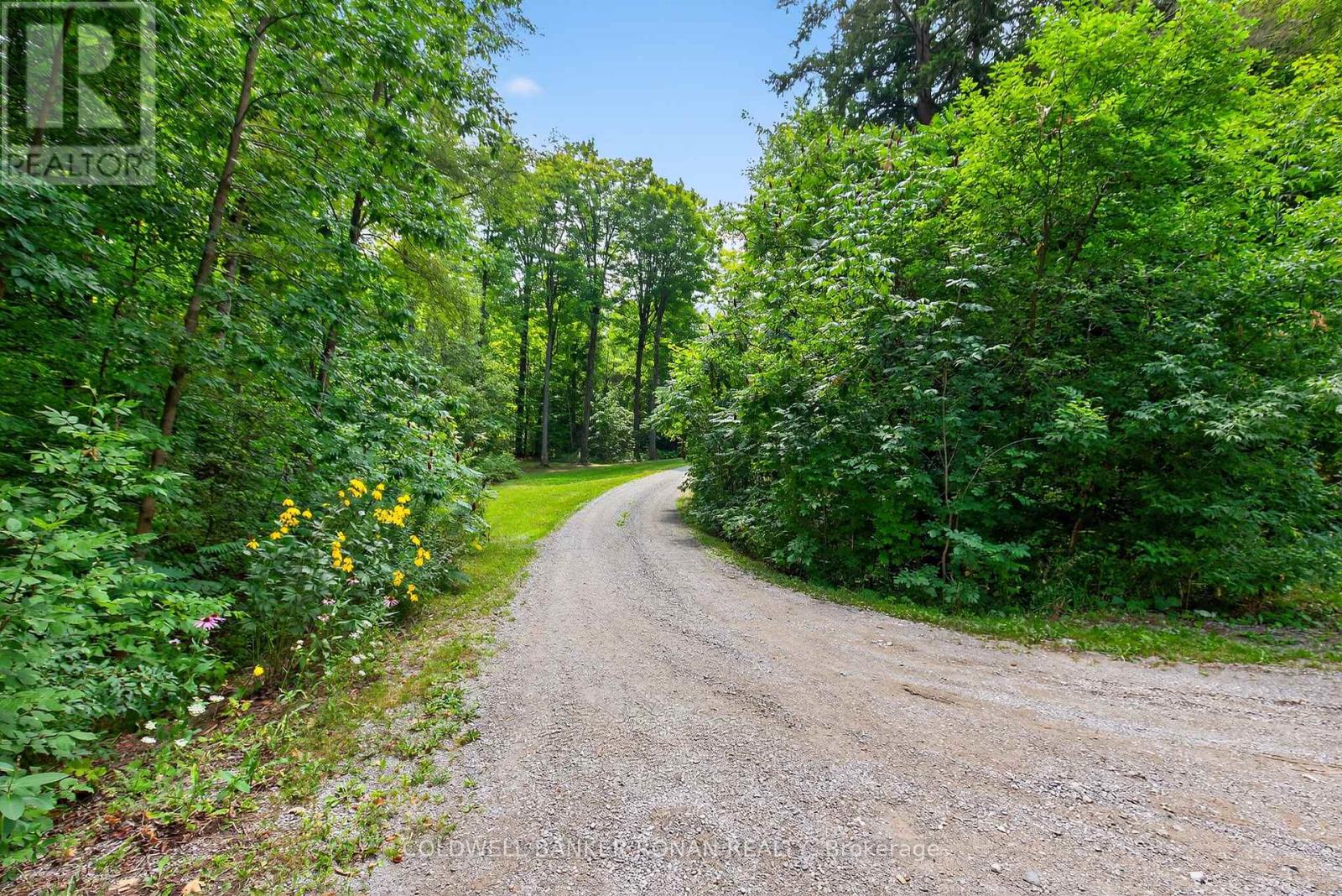 7501 5th Side Road, Adjala-Tosorontio, Ontario  L0G 1W0 - Photo 3 - N12409888