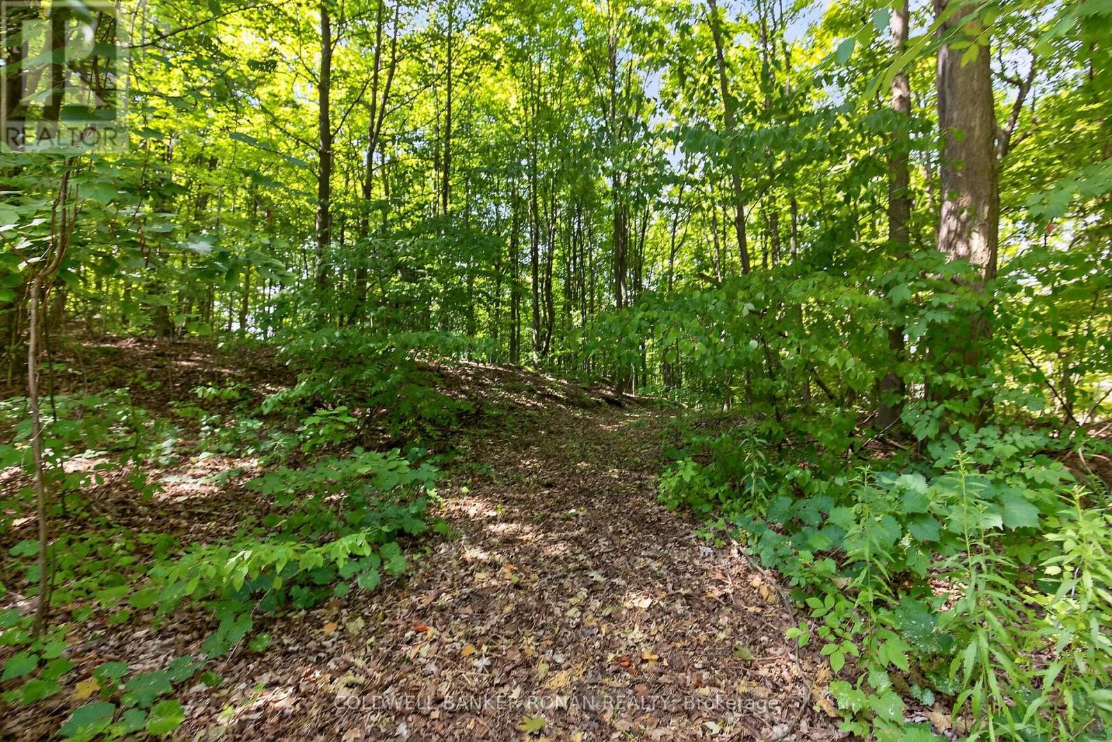 7501 5th Side Road, Adjala-Tosorontio, Ontario  L0G 1W0 - Photo 45 - N12409888