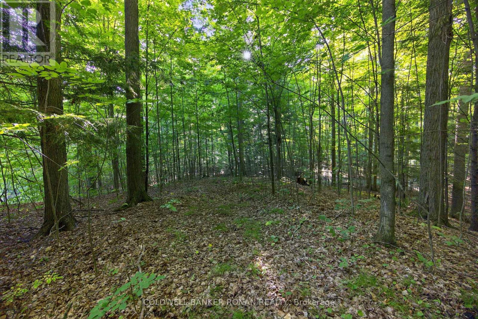 7501 5th Side Road, Adjala-Tosorontio, Ontario  L0G 1W0 - Photo 46 - N12409888