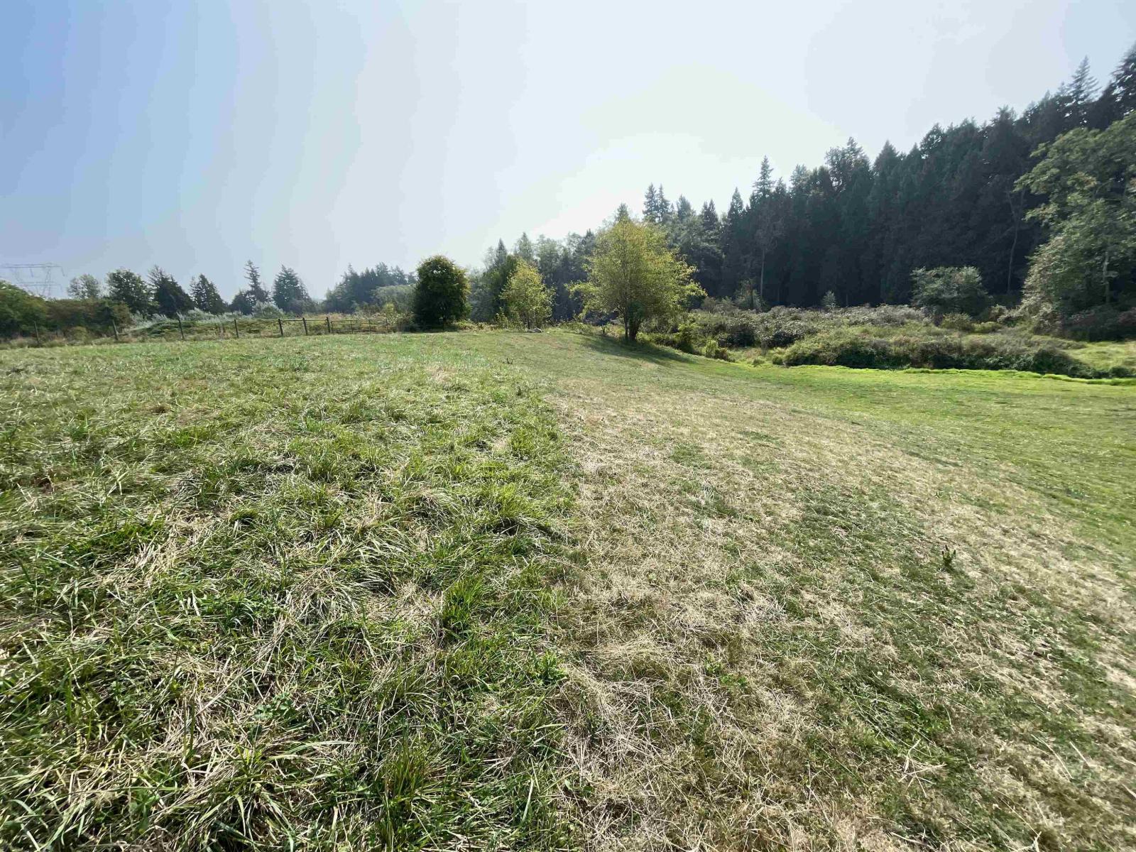 17384 8 Avenue, Surrey, British Columbia  V3S 9R5 - Photo 22 - R3047383