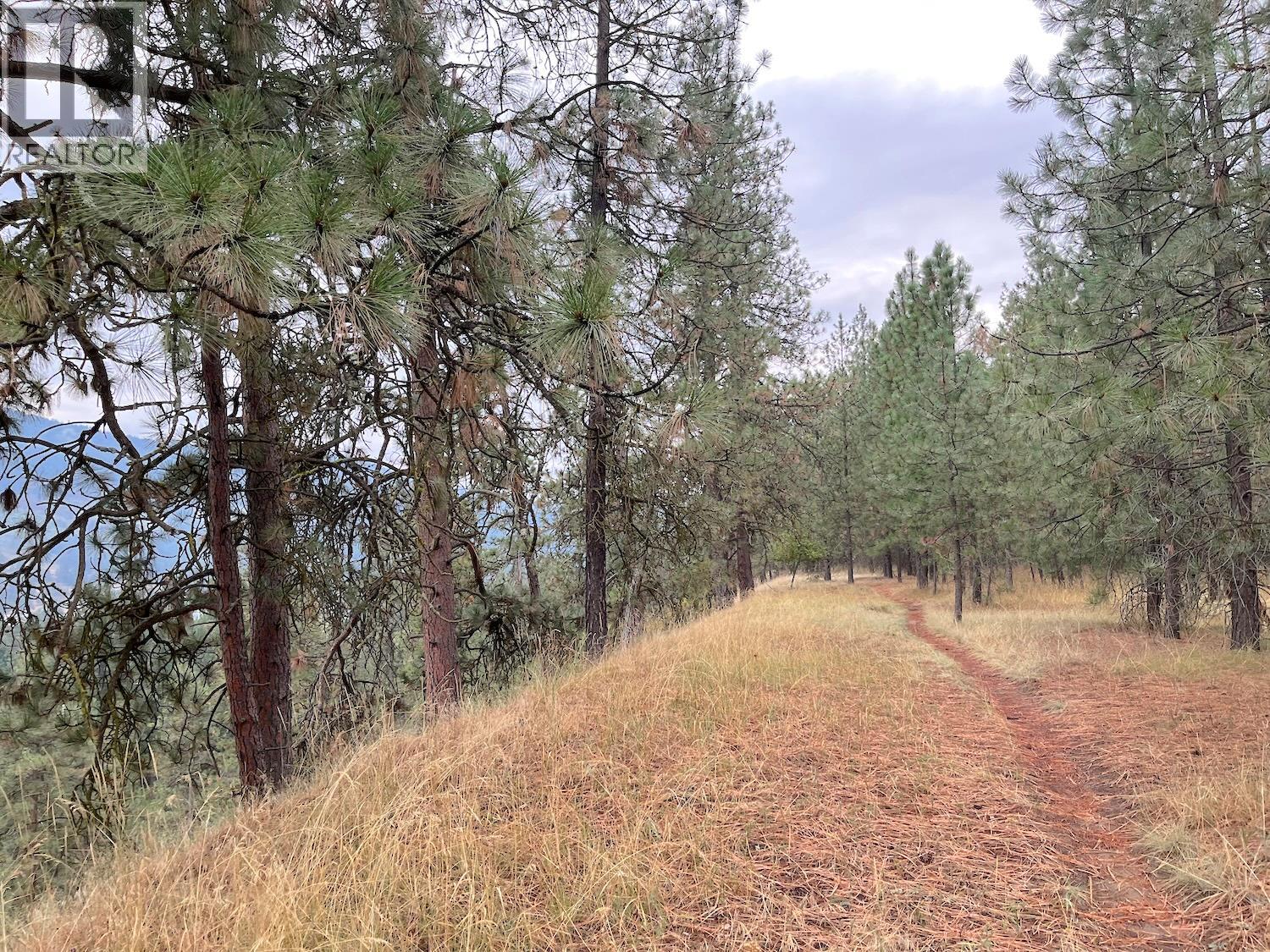 Highway 3 Lot# 32, Grand Forks, British Columbia  V0H 1H0 - Photo 12 - 10363300