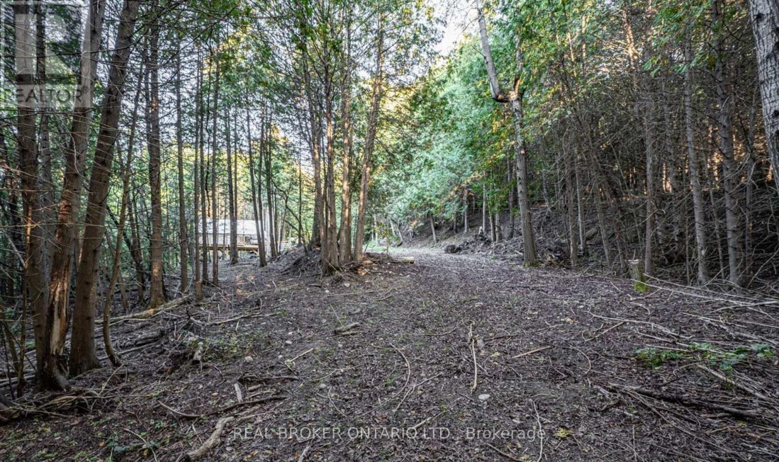 5703 10th Side Road, Essa, Ontario  L0L 1N0 - Photo 2 - N12410169