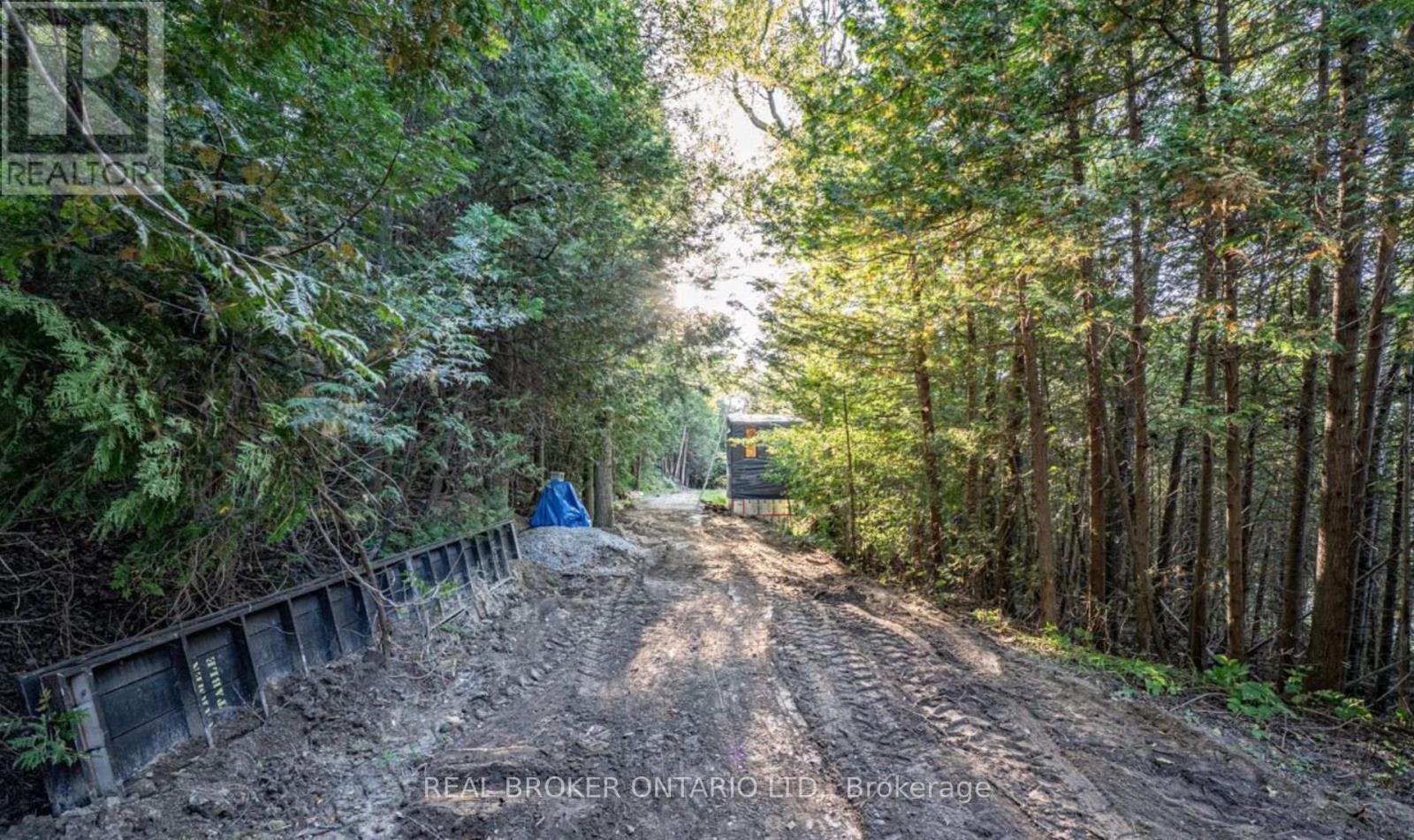 5703 10th Side Road, Essa, Ontario  L0L 1N0 - Photo 8 - N12410169