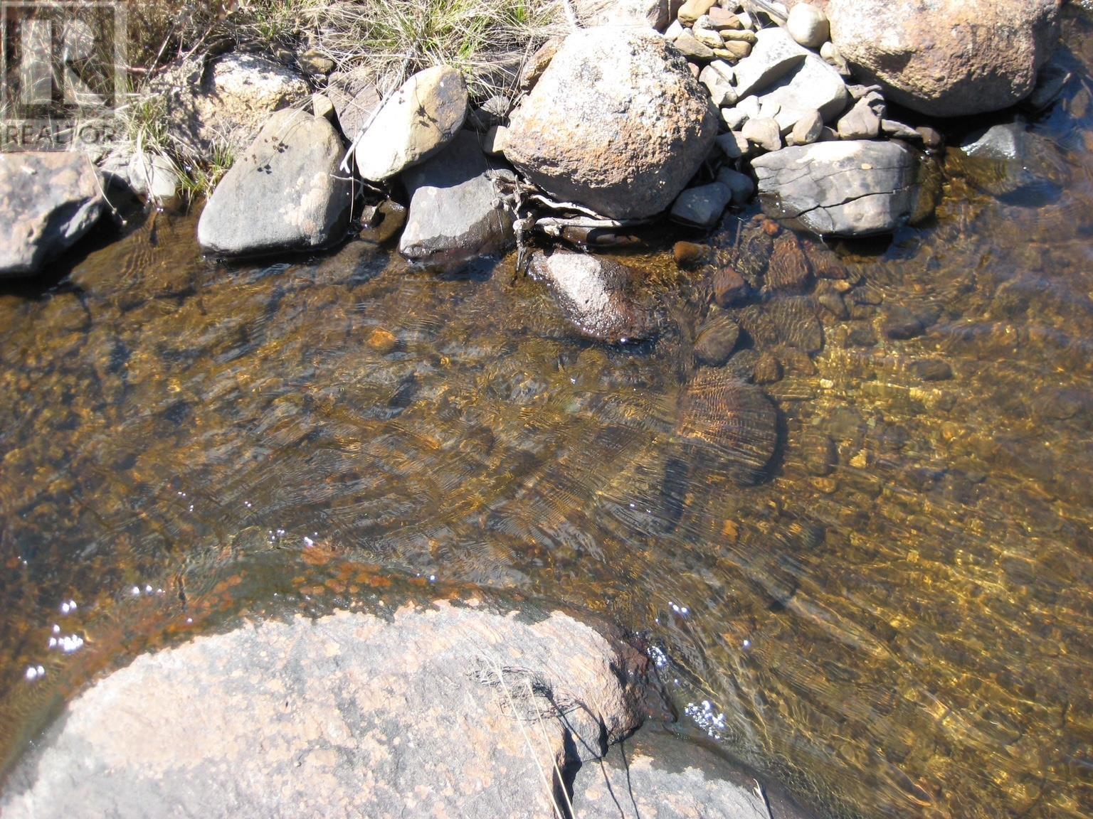 Lot A-4 Newmans Lake, Tangier, Nova Scotia  B0J 3H0 - Photo 3 - 202523594