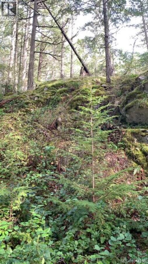 7 27 Oben Rd, Lasqueti Island, British Columbia  V0R 2J0 - Photo 4 - 1014266